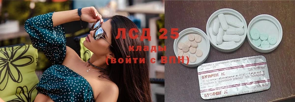 apvp Алзамай